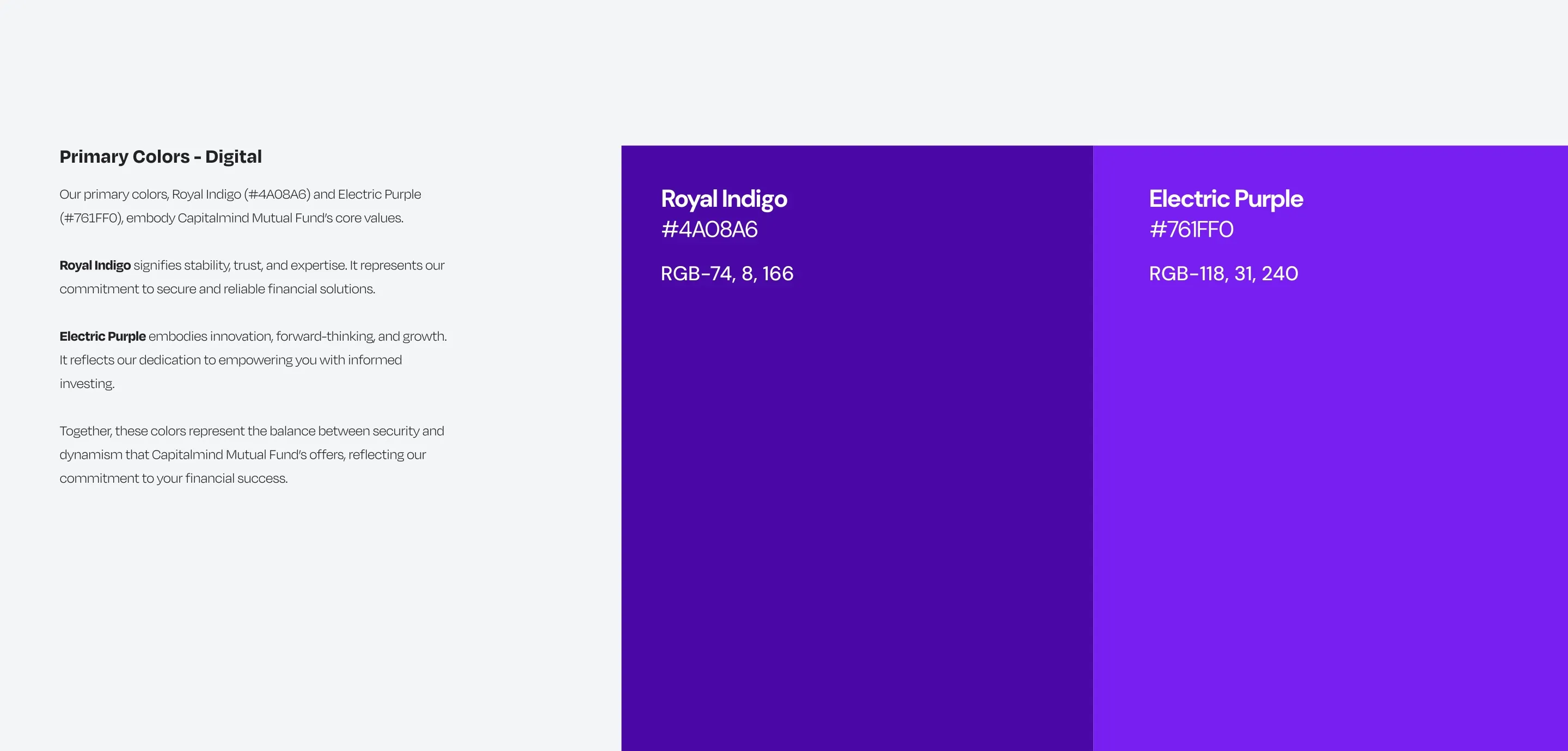 Primary digital colours: Royal Indigo #4A08A6 for stability, trust and expertise, and Electric Purple #761FF0 for innovation and growth.