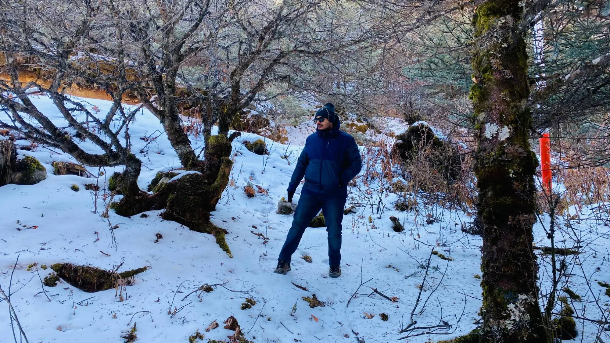 Suhruth in a navy puffer jacket, beanie and sunglasses, walking through a snowy forest of bare, mossy trees.